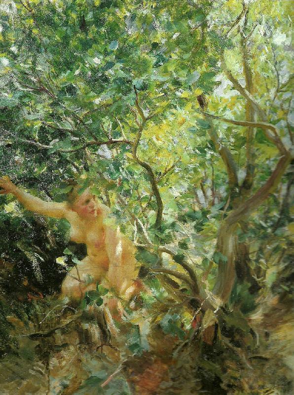 Anders Zorn skramd oil painting image